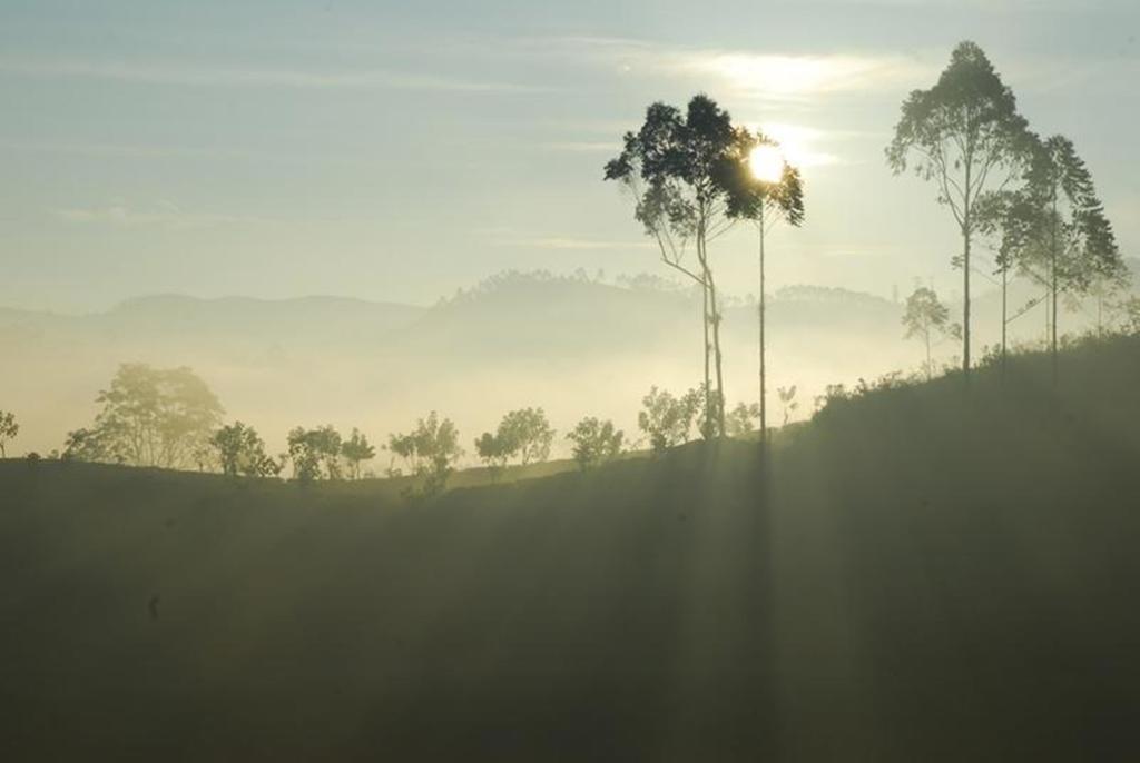 Hotel Jetwing St Andrew's Nuwara Eliya Zewnętrze zdjęcie