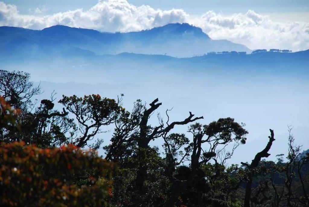 Hotel Jetwing St Andrew's Nuwara Eliya Zewnętrze zdjęcie